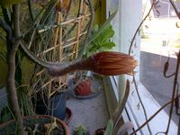 IMG-20140612-00003.jpg