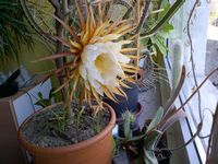 IMG-20140612-00004.jpg