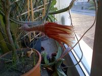 IMG-20140613-00006.jpg