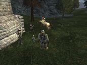 EQ2_000011.jpg