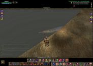 stonestair_bug.jpg