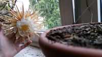 20150617_200744.jpg