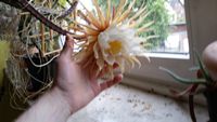 20150617_200752.jpg