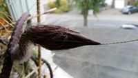 20150617_210525.jpg
