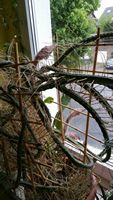 20160524_065224.jpg