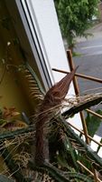 20160524_065232.jpg