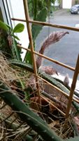 20160524_065239.jpg