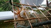 20160524_204059.jpg