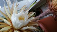 20160524_204106.jpg