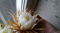 20160524_204119.jpg