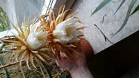 20160524_204204.jpg