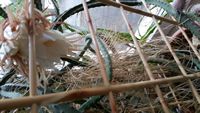 20160525_063612.jpg