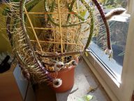 20170610_094116.jpg