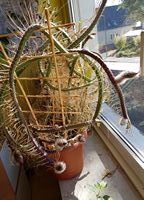 20170610_094131.jpg
