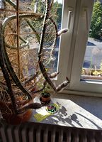 20170610_094153.jpg