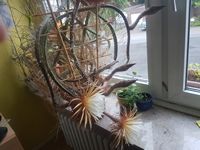 20170612_211418.jpg