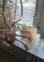 20170613_211450.jpg