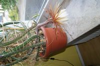 DSC02750.JPG