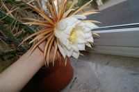 DSC02751.JPG