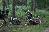 IMG_2751.jpg